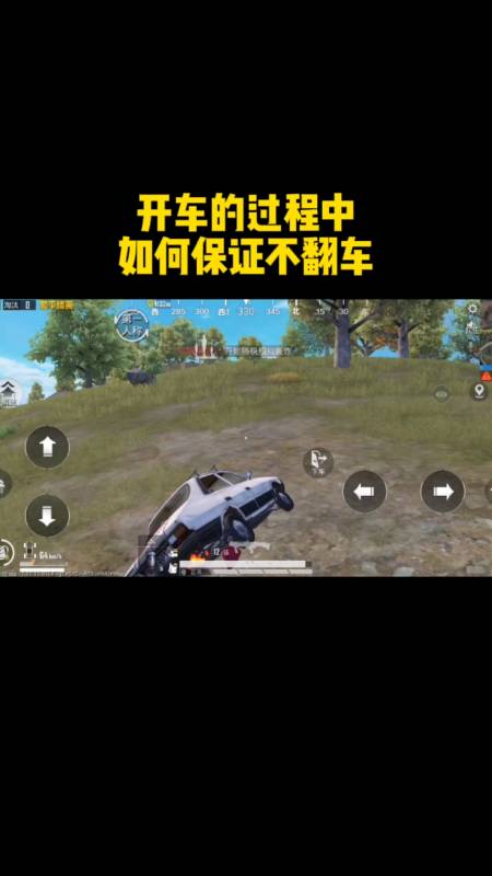 和平精英辅助【内部G简洁版】
